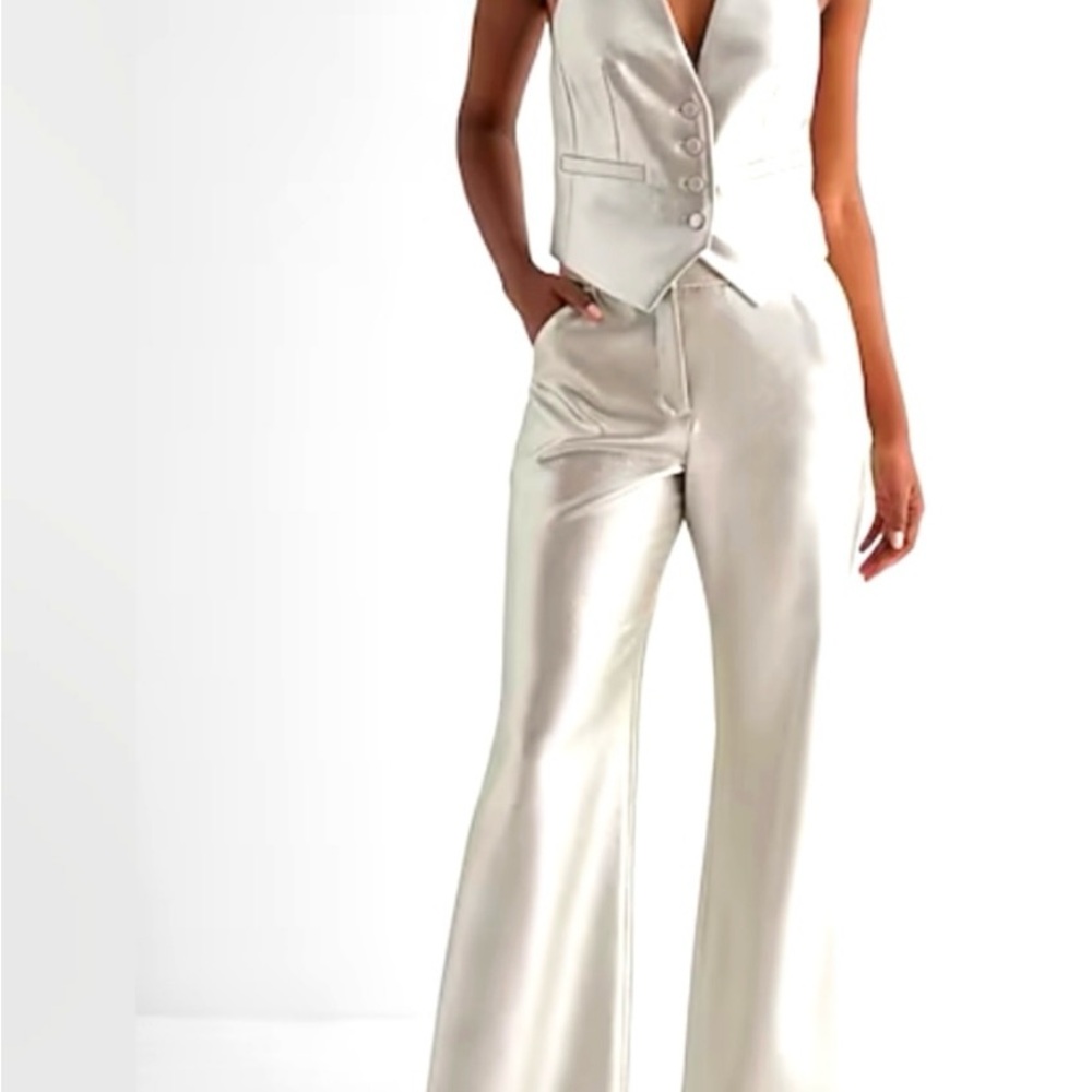 Express Metallic Pants